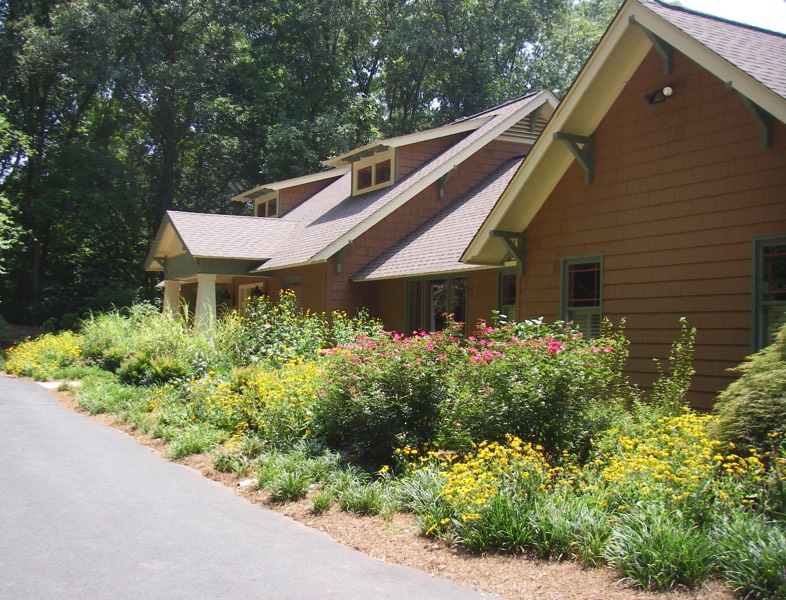 Cottage Garden Drought tolerant